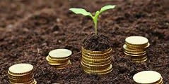 Stacks of coins in dirt, with a sprout emerging